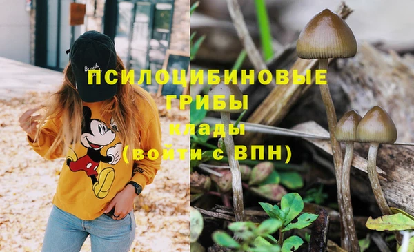 ешки Дмитровск